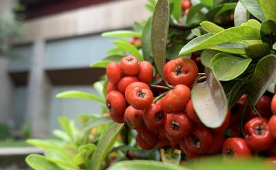 �ƶ��������Α�r�gҎ��