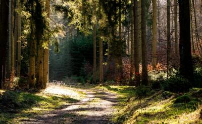 ��(j��ng)��׃�Q���r��Ԓ�}