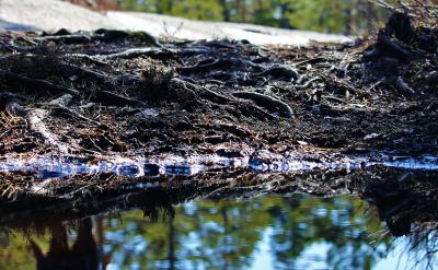 [1]�R�o.С�W�༉�������p�R�������ô��ڵ�...