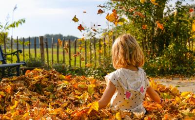 ���������Q���������v�����f�ǻ�