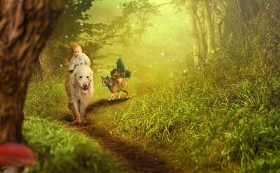 用閱讀習(xí)慣滋養(yǎng)孩子的心靈