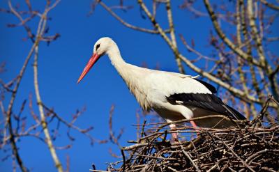 3. �ƶ������ļ�ͥ�Α�r�g