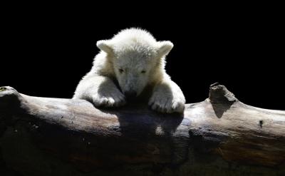 ���ˣ������F��߀�ڼm�Y������Ҫ��Ҫˢ�}...