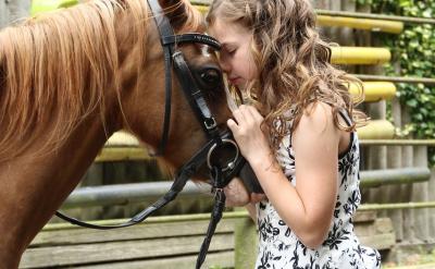 1�����L���܌������f�e��