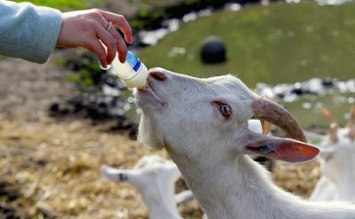 ����׌�ҵ�˼����u���죬�О��Ք����S�࣬...