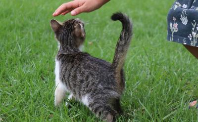 ���󌣘I����