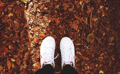 3�������n�����Y�͚w�{�����յ���W����Ҏ...