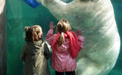 家庭教育的重要原則