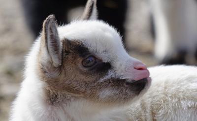 �ش��ľC���}�r������؞�ء�����������c(di��n)��...