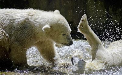 һ�������ں��ӂ俼�ļ�ͥ�h�����P��Ҫ���@...