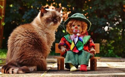 Must you go now? (Yes, I must. No, I nee...