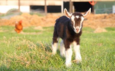 篇5:高考數(shù)學備考策略與技巧大全