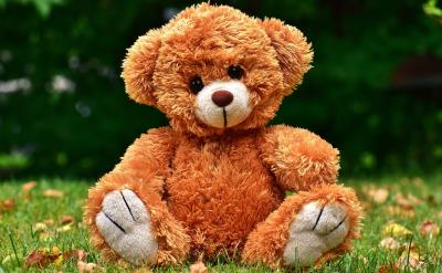 �{���҂��Լ��ľ�����B