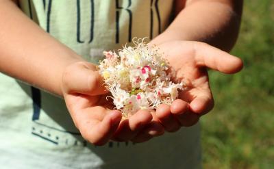 ӛ���˽⵽����������ʽ��W(xu��)ǰ���W(xu��)У���S��...