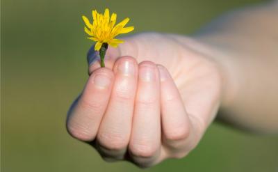 ƪ13���߿���(f��)��(x��)�_��Ӌ��