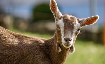 ��ԇ�Y(ji��)��֮�󣬿���������_ʼ���[�����ˡ�...