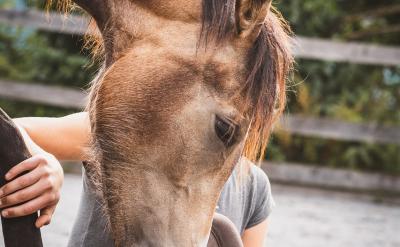 ��δ�������������oՓ���������߀��������...