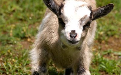 ���̆��} ��������ͦ�ߴ��ϵģ��䌍���ǰ�...