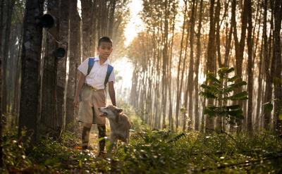 �����������õļ�У�����Pϵ