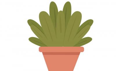 四、營造和諧的家庭氛圍