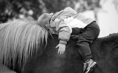 ƪ3������Ӣ�Z���������c����