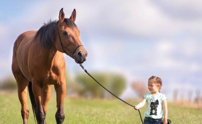 ���ԙM������Ц��ȥ����đ�����������T��ͬ