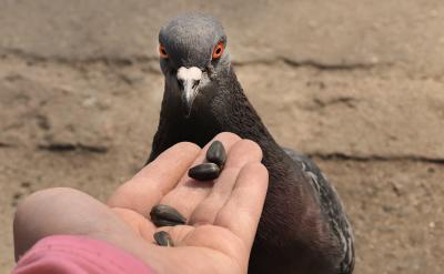 給予孩子更多的鼓勵和獎勵