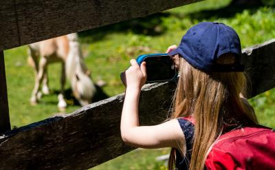 篇3:高考數學:高效解題策略