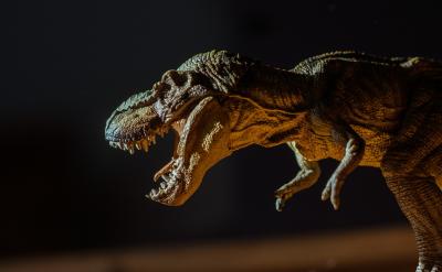 �fԒ�������H���h�������������ڄe����ǰ��...