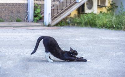 17�� ���u �������͇�������