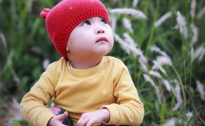 因?qū)W校導(dǎo)師催著我回學(xué)校做項(xiàng)目,所不得不結(jié)...