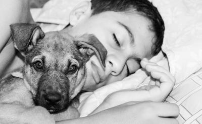 �񽛿ƌW���C��˹̹����W���l�F��Ҏ�t��...