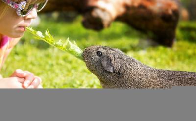  2. ���󌣘I(y��)�����������ĸ֮�g�Ć��}�o��...