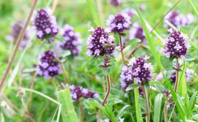 A.�� �ώ��v����45% B.��̎��˼�������� 2...