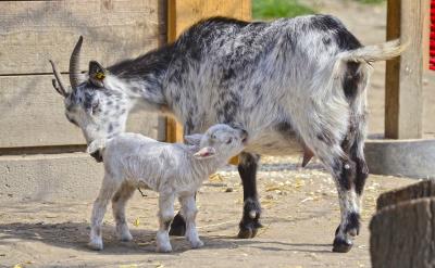 1</p> <p>1�����M�߼��c�I�B(y��ng)���ą^(q��)�e