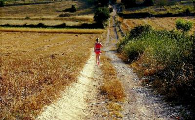 ��ߌW���ɿ�