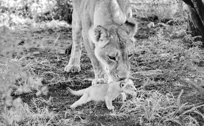 ���@һ�A������ĸ�����׷��ĵڶ��������e�`...