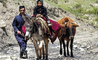 3������ԏ����Ĵ�ķ���������Է֞飺��...