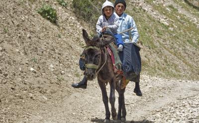 5、關注學生的個體差異