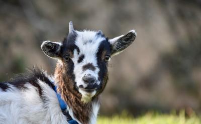 �@���f�Ĳ��ǿ���������ÿһ��Ӗ���ĕr���}...