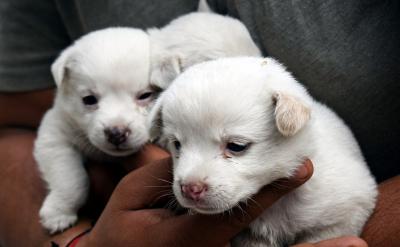 采取正確的措施引導學生