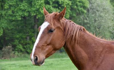 ƪ5���߿��Z�ď��������c����