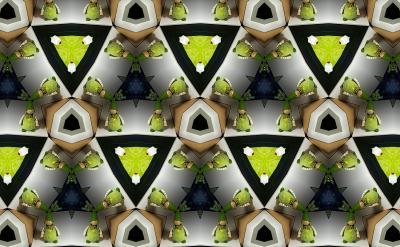 荀子(公元前313年—公元前238年)是戰國末...