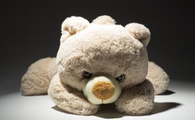 �������Z�Եķ���(y��ng)���О���{(di��o)��(ji��)