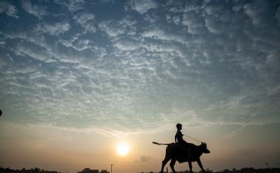 �o�躢���������ɺͿ��g