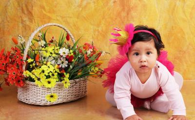 ������ʽ