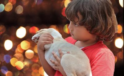 6、最終得:y=(2x+1)/(x-1)