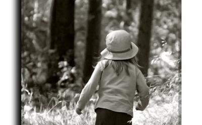 1.�ṩ���ӻ������