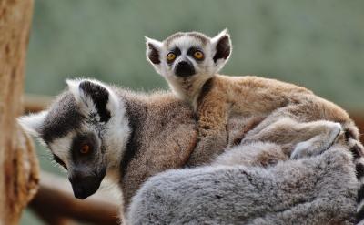 3. �Ą�e�O���H�ӻ���