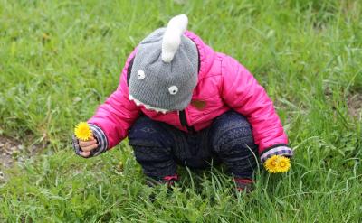 ������ͥ��������Ҫ��